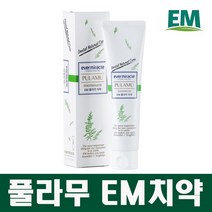EM 치약 150g 좋은치약 무불소, 1개