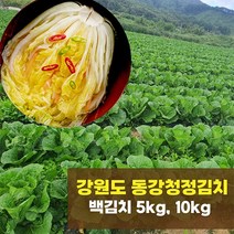 동강청정김치 강원도 영월 백김치 5kg/10kg, 5kg