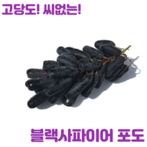 [바농프레시] 고당도 블랙 사파이어 가지 포도, 1.8kg(2봉/2~3수 내외), 2개