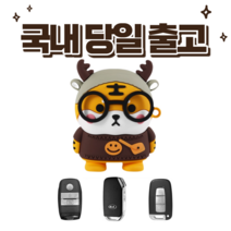 호랑이키케이스 현대 기아 귀여운 차키 캐릭터 스마트 키 케이스 캐릭터 홀더 커버, C