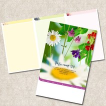 주보용지 3단 주보 교회 예배 주보인쇄 기성 디자인 칼라 청년부 주보 제작 기독교용품, EW-14
