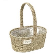 어노브 볼륨 업 컬링 에센스 147ml, 1개