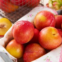 산지직송 새콤달콤 햇자두 중과 2kg, 1