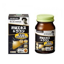 일본 노구치의학 간 추출물 + 강황 90정