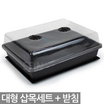 삽목세트 - 삽목 상자 화분 재배기 세트 베란다 텃밭 모종 트레이 파종 분갈이 화분갈이 판 육묘 어린이집 유치원 식목일, 02_Sein_삽목세트(받침O)
