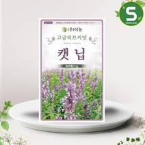 솔림텃밭몰 캣닙씨앗 800립(1g) 캣닙 개박하 캐트민트 허브씨앗, 1개
