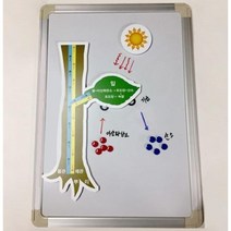 초중학교 과학교구 광합성과정표현모형 부착형 실험체험 과학실