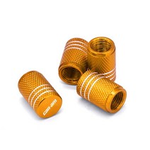 Can-Am DS250 아웃 랜더 레니게이드 1000 CNC 알루미늄 ATV 휠 타이어 밸브 캡 커버, 10 Gold