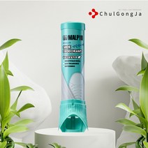 철공자닷컴 신발 탈취제 운동화 구두 군인 털 가죽 냄새 제거제 스프레이, 2개 EA