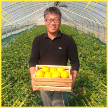 꼬마 성주참외농장 상주참외 마이달데이 16브릭스 못난이, 상품, 2kg, 중과