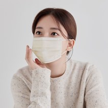 고래마스크 일회용 덴탈마스크 대형, [고래 덴탈 데이지베이지 2BOX(대형)