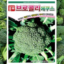아시아종묘 에쿠스 브로콜리 씨앗종자 브로콜리씨앗 브로콜리씨앗종자 에쿠스씨앗, 100개