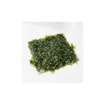 [미미네아쿠아]피시덴모스 활착판 (5x5cm)