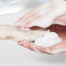 산책후 강아지 발샴푸 풋클렌져 손세정제 300ml