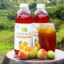 김씨언니마켓 하동 황 매실액 매실청 매실원액 3년숙성(1000ml) 2병 황매실엑기스, 황매실청 1000ml X 2병 (선물포장X), 1000ml, 2개