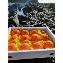 최고당도 산지직송 카라향 2kg 3kg 5kg 10kg, 2kg(로얄과14수내외), 1개
