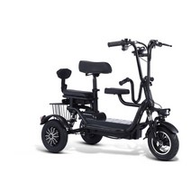 성인용 접이식 세발 전기자전거 삼륜 전동 배달, 2인승, 12A, 블랙