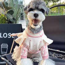 강아지명품옷 애견옷 강아지 후리스 겨울옷 럭셔리 스타일 강아지 옷 디자이너 개 작은 고양이 스웨터 요크, 01 XS