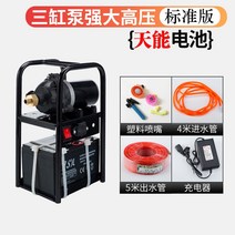 텃밭 고압 농산물 농약주기 물주기 휴대용 전기 소독 충전식 스프레이 지능형 분무기 세차가능 고압세척기, 3 개의 펌프 (Tianneng 배터리) 표준형개