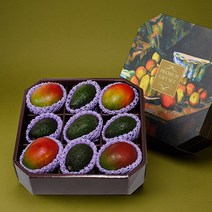 팜스 명품 수입과일선물세트 3호 2.6kg (애플망고4 + 아보카도5)