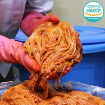 전통김장 전라도 묵은지 김치 100% 우리 농산물 익은 신김치, 전라도 묵은지 3kg