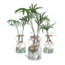 화분월드 백자갈 꿈돌 강자갈 흑자갈 칼라스톤 에그스톤, 옥자갈3호(1kg)