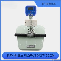 전자식 허리근력측정기 백다이나모미터 다이너모미터 테스터