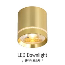 인라이프조명 IE-195 COB10W 주광색6000K 일체 베란다 드레스룸 천장 복도 매장 계단 직부 전등 인테리어 KS