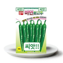 씨앗입니다! 미인풋고추씨앗 100립 과일맛 풋고추, 1개