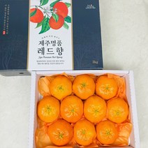 제주특산품 제주 고당도 레드향 3kg 선물세트, 레드향 3kg 11-13과