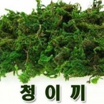 청이끼-약20g(2봉지)/006789/포장이끼/이끼