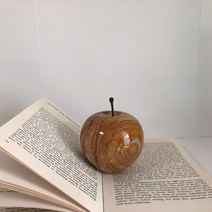 사과문진 사과오브제 페이퍼웨이트, S