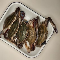 국내산 서해 숫꽃게 급냉 살 많은 숫꽃게 3kg, 대