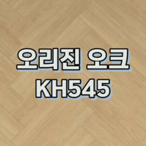 강마루 동화자연마루 나투스강 헤링본 1박스 0.5평, 오리진 오크 KH545
