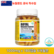 비타민e 토코자놀 뇌산소공급영양제