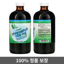 월드 오가닉 엽록소 클로로필 Chlorophyll 액상 100mg 474ml, 1개