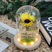 LED 대박 해바라기 유리돔 무드등 개업 집들이 추석 선물, 단품
