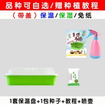 새싹재배기 다단형 식물등 가정용스마트팜 밀싹키우기 식물재배기 상추수경재배 수경재배키트, 옵션1