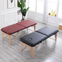 휴대용 접이식 미용베드 이동식 마사지 침대, 일반+배낭, 푸른 색