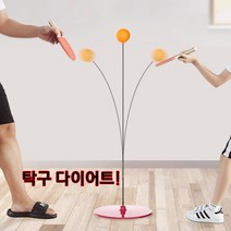 재미있는 가정용 홈 트레이닝 헬스 스트레칭 근력 순발력 다이어트 전신 운동 기구, 성인용