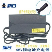 전기차충전기 신일 리튬전지충전 전자기기 48V리튬전지충전 미츠이시 전자 출품 48V전동차 택배, 기본, T06-미츠이시 포장 신국제 2A터