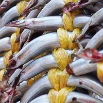 당일바리 속초 생물 햇 양미리 알배기 반건조 양미리 생선구이 조림, 반건조 양미리(40미)/알배기 12월중순부터