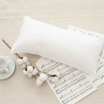 (주)이솔홈 이솔홈 국산 항균 도레이 구름 베개솜 (2040), 도레이베개솜:20X40cm