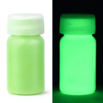 범퍼 셀프 부분 도색 15g/병 형광 안료 오래 지속되는 페인트 아트 워크 파티 용품 아크릴 자동 글로우, 02 02
