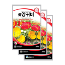 꽃 양귀비 씨앗 2000립 3봉 개양귀비 종자 노지월동 다년생 꽃씨 shirley poppy, 6봉