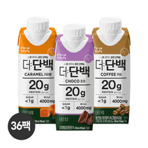 더 단백 프로틴 음료 3종 250mlx36팩 초코/커피/카라멜, 카라멜 250mlx18팩