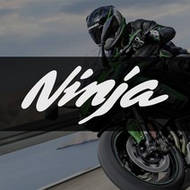 가와사키 닌자 ninja 로고스티커 오토바이데칼, 200x80mm, 흰색