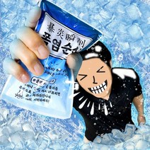 냉기 아이스펀치 쿨팩 10개 얼음팩 냉찜질, 본상품