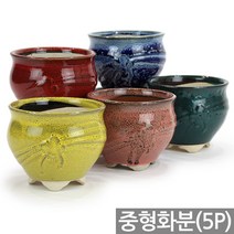 크로바 칼라 원형 화분 5종세트 - 여주 국산 다육 다육이 대형 세트 도자기 선인장 베란다 사무실 인테리어 예쁜화분 국내산화분, 01_대진_크로바화분5종세트(중형)