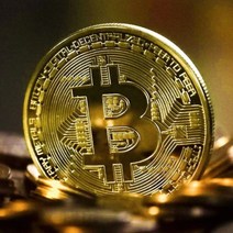 비트코인 키홀더 암호화폐 키링 열쇠고리 키체인 리멘 도지, 실버